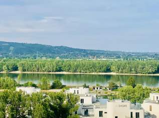 BAUgrundSTÜCK mit PROjektSTUDIE, 0 €, Immobilien-Grund und Boden in 1190 Döbling
