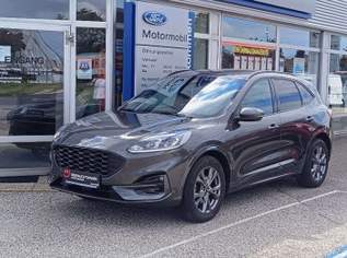 Kuga 1,5 EcoBlue ST-Line Aut., 19900 €, Auto & Fahrrad-Autos in 4614 Marchtrenk
