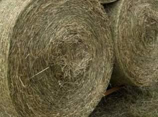 Heu Rundballen 2.Schnitt 2024, 45 €, Marktplatz-Tiere & Tierbedarf in 4943 Geinberg Heu Rundballen 2.Schnitt 2024, 45 €, Marktplatz-Tiere & Tierbedarf in 4943 Geinberg