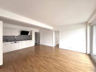 2 Zimmer mit großem Balkon, 1051.17 €, Immobilien-Wohnungen in 2340 Gemeinde Mödling