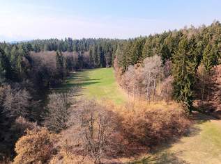 10.5 ha Wiese und Wald in Moosburg, 349000 €, Immobilien-Gewerbeobjekte in 9062 Moosburg