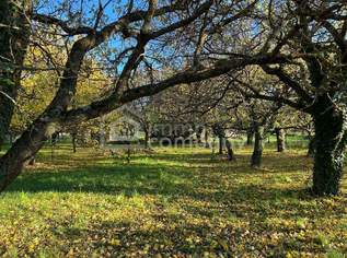 Baugrund Schlosspark, 1290000 €, Immobilien-Grund und Boden in 7053 Hornstein