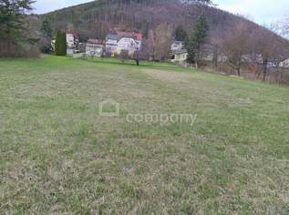 Großflächiges, aufgeschlossenes Baugrundstück mit 2772m² , bei richtiger Teilung sind bis zu 6 Wohneinheiten möglich, 473500 €, Immobilien-Grund und Boden in 2722 Katastralgemeinde Winzendorf