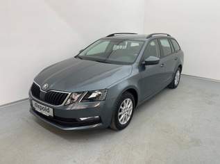 OCTAVIA Combi Ambition TDI, 11680 €, Auto & Fahrrad-Autos in 8665 Langenwang