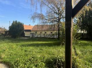 "Wunderschönes Grundstück in Katzelsdorf" , 225000 €, Immobilien-Grund und Boden in 3434 Katzelsdorf