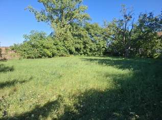 Baugrundstück in Waltersdorf an der March – 893 m² Bauland, 99000 €, Immobilien-Grund und Boden in 2265 Waltersdorf an der March