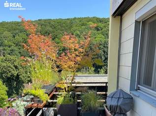 2391 Kaltenleutgeben, Eigentumswohnung mit zwei Außenflächen und Grünblick, 299000 €, Immobilien-Wohnungen in 2391 Gemeinde Kaltenleutgeben