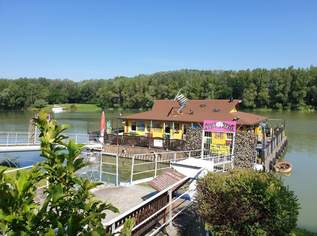 "Die African Queen auf der Donau deine Chance auf Kult Gastro mit Traumlage", 359000 €, Immobilien-Gewerbeobjekte in 3422 Greifenstein "Die African Queen auf der Donau deine Chance auf Kult Gastro mit Traumlage", 359000 €, Immobilien-Gewerbeobjekte in 3422 Greifenstein