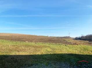 EINMALIGE GELEGENHEIT - Großes sonniges Grundstück und 2 große Ackerflächen!, 300000 €, Immobilien-Grund und Boden in 2193 Erdberg