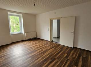 Frisch saniert 1-Zimmerwohnung mit Küche, 489.11 €, Immobilien-Wohnungen in 8704 Donawitz