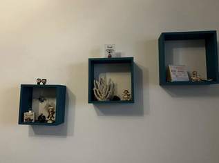 Regale, 10 €, Haus, Bau, Garten-Möbel & Sanitär in 3500 Krems an der Donau Regale, 10 €, Haus, Bau, Garten-Möbel & Sanitär in 3500 Krems an der Donau