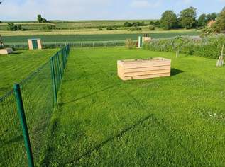 Garten neu angelegt, 1800 €, Immobilien-Grund und Boden in 2011 Gemeinde Leitzersdorf