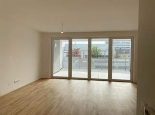 Eine lichtdurchflutete Wohnung mit stilvollem Ambiente, 420500 €, Immobilien-Wohnungen in Oberösterreich