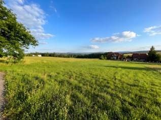 Grundstück mit Aussichtslage perfekt für Einzelhaus oder Doppelhaus, 375000 €, Immobilien-Grund und Boden in 4073 Wilhering Grundstück mit Aussichtslage perfekt für Einzelhaus oder Doppelhaus, 375000 €, Immobilien-Grund und Boden in 4073 Wilhering
