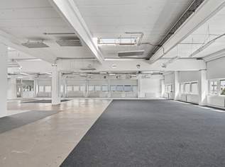 Helle Atelierflächen mit großzügiger Raumstruktur, 15812.5 €, Immobilien-Gewerbeobjekte in 1230 Liesing