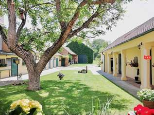 Baugrundstück mit Bauernhof- oder Reiterhofidylle direkt vor den Toren Wiens, 480000 €, Immobilien-Häuser in 2282 Großhofen