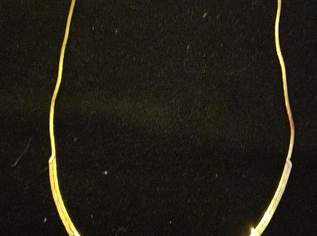 Gold Collier, 850 €, Kleidung & Schmuck-Accessoires, Uhren, Schmuck in 6433 Gemeinde Oetz