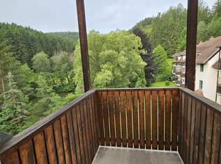 unbefristete 1-Zimmer-Wohnung mit Abstellraum, Balkon & Blick ins Grüne, 401.74 €, Immobilien-Wohnungen in 8112 Rein