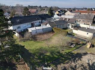 Baugrundstück in naturnaher Lage angrenzend am Nationalpark Donau-Auen, 65000 €, Immobilien-Grund und Boden in 2305 Eckartsau