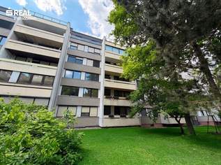 Grünruhelage, große Loggia, 3 Zimmer, 285000 €, Immobilien-Wohnungen in 1160 Ottakring