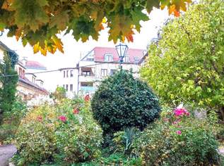 Topsaniert - Geschäftslokal/Praxis/Büro/Atelier mit Freifläche, 250000 €, Immobilien-Gewerbeobjekte in 2500 Gemeinde Baden Topsaniert - Geschäftslokal/Praxis/Büro/Atelier mit Freifläche, 250000 €, Immobilien-Gewerbeobjekte in 2500 Gemeinde Baden