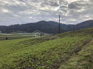 Über 1 ha Grund mit Bauland nahe Jennersdorf, 0 €, Immobilien-Grund und Boden in 8380 Jennersdorf