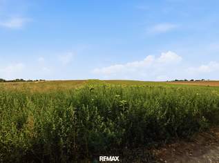 Landwirtschaftliche Fläche mit 6709 m² in Höbersdorf zu verkaufen!, 62000 €, Immobilien-Grund und Boden in 2011 Katastralgemeinde Höbersdorf