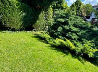 Gartenpflege und Schneeräumung!, Dienstleister & Stellen-Dienstleister in 1010 Innere Stadt