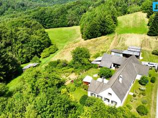 Naturparadies im Südburgenland: Charmantes Landhaus mit Fernblick, Weingarten & 2 ha Grund in absoluter Ruhelage, 360000 €, Immobilien-Häuser in 8384 Windisch Minihof