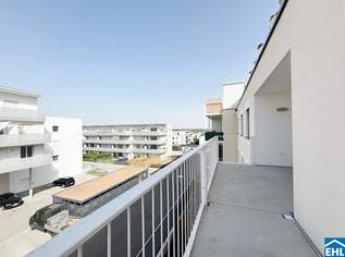 Ihr Wohnglück wartet: Moderne Mietwohnungen im Tullnerfeld, 1568.89 €, Immobilien-Wohnungen in 3441 Pixendorf Ihr Wohnglück wartet: Moderne Mietwohnungen im Tullnerfeld, 1568.89 €, Immobilien-Wohnungen in 3441 Pixendorf