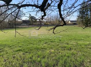 Großzügiges Baugrundstück 2772m² am Römerweg, 597000 €, Immobilien-Grund und Boden in 2722 Katastralgemeinde Winzendorf