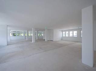 Erstbezug: Moderne Bürofläche in Hietzinger Bestlage, 18362.06 €, Immobilien-Gewerbeobjekte in 1130 Hietzing