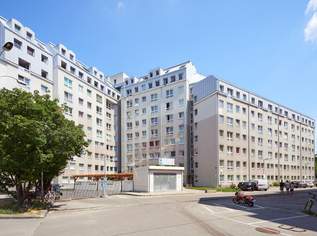 Attraktive Anlagemöglichkeit: 3 Wohnungen mit 4,17% Rendite zu verkaufen, 530000 €, Immobilien-Wohnungen in 1100 Favoriten