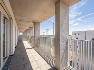 FREIHEIT KAUFEN, PIONIERE SEIN. Dein neuer Ort, dein neues Zuhause am Hausfeld!, 530600 €, Immobilien-Wohnungen in 1220 Donaustadt FREIHEIT KAUFEN, PIONIERE SEIN. Dein neuer Ort, dein neues Zuhause am Hausfeld!, 530600 €, Immobilien-Wohnungen in 1220 Donaustadt
