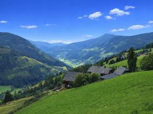 Gepflegte Natur - hier schöpfe ich neue Kraft in den Bergen, 440000 €, Immobilien-Häuser in 9565 Ebene Reichenau