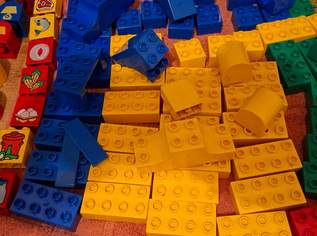 DUPLO - sehr umfangreich