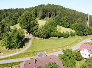 Baugrund in Zentrumsnähe von Kaltenberg, 42690 €, Immobilien-Grund und Boden in 4273 Kaltenberg Baugrund in Zentrumsnähe von Kaltenberg, 42690 €, Immobilien-Grund und Boden in 4273 Kaltenberg