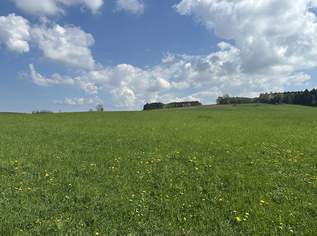 Attraktives Grundstück im Innviertel / Nähe Mattighofen, 295000 €, Immobilien-Grund und Boden in 5143 Feldkirchen bei Mattighofen