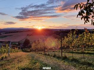 IN SLOWENIEN! Winzerhaus mit Weingarten und Blick bis zum Horizont!, 129000 €, Immobilien-Häuser in 8490 Bad Radkersburg