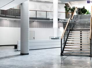 Der perfekte Ort für Ihr Business – Hier wird Erfolg großgeschrieben! 150 m² Bürofläche in Liebenau! Gleich anfragen & begeistern lassen, 2346.61 €, Immobilien-Gewerbeobjekte in 8041 Der perfekte Ort für Ihr Business – Hier wird Erfolg großgeschrieben! 150 m² Bürofläche in Liebenau! Gleich anfragen & begeistern lassen, 2346.61 €, Immobilien-Gewerbeobjekte in 8041