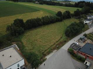 Grundstück mit traumhafter Aussicht in St. Martin im Mühlkreis Grundstück mit traumhafter Aussicht in St. Martin im Mühlkreis