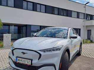 Ford Mustang Mach-E, 40999 €, Auto & Fahrrad-Autos in 2700 Wiener Neustadt Ford Mustang Mach-E, 40999 €, Auto & Fahrrad-Autos in 2700 Wiener Neustadt