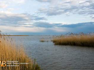 Röhricht/Schilf und Wasserfläche in Mörbisch, 3 Grundstücke, zusammen 7 ha, 52500 €, Immobilien-Grund und Boden in 7072 Mörbisch am See