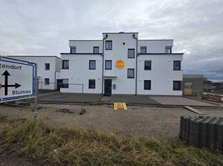 Moderne 2-Zimmer-Wohnung in Teesdorf: Terrasse, zwei Stellplätze & Glasfaser für 250.000 €!, 250000 €, Immobilien-Wohnungen in 2524 Gemeinde Teesdorf