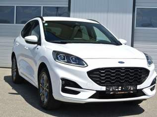 Kuga 2.5 Duratec PHEV Hybrid Aut. ** ST-Line X **, 27490 €, Auto & Fahrrad-Autos in 4693 Desselbrunn Kuga 2.5 Duratec PHEV Hybrid Aut. ** ST-Line X **, 27490 €, Auto & Fahrrad-Autos in 4693 Desselbrunn