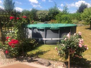 Intex Pool 488x122 ink. Sandfilterpumpe, Zubehör und Reinigungsroboter, 499 €, Haus, Bau, Garten-Balkon & Garten in 3580 Gemeinde Horn