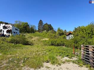 Sonnige Liegenschaft mit Entwicklungspotenzial in Klosterneuburg, 585000 €, Immobilien-Grund und Boden in 3400 Gemeinde Klosterneuburg