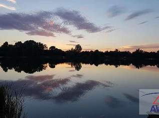 Ein Platz zum Durchatmen!, 0 €, Immobilien-Grund und Boden in 2442 Katastralgemeinde Unterwaltersdorf Ein Platz zum Durchatmen!, 0 €, Immobilien-Grund und Boden in 2442 Katastralgemeinde Unterwaltersdorf