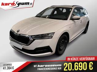 Octavia Ambition Aut | WENIG KM | Abstandstempomat, 21190 €, Auto & Fahrrad-Autos in 4693 Desselbrunn