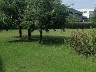 Schönes Grundstück in sehr guter Nachbarschaft!, 0 €, Immobilien-Grund und Boden in 4614 Marchtrenk Schönes Grundstück in sehr guter Nachbarschaft!, 0 €, Immobilien-Grund und Boden in 4614 Marchtrenk